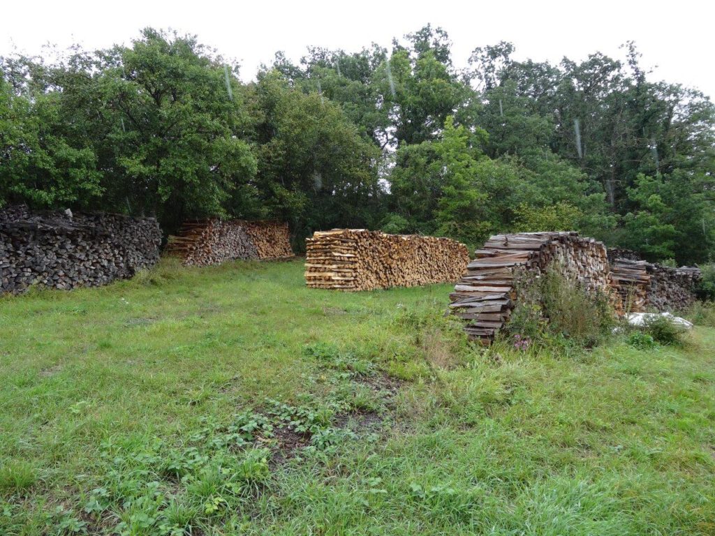 Unsere Produkte – Äpfel, Apfelsaft und Brennholz – SILVALUS