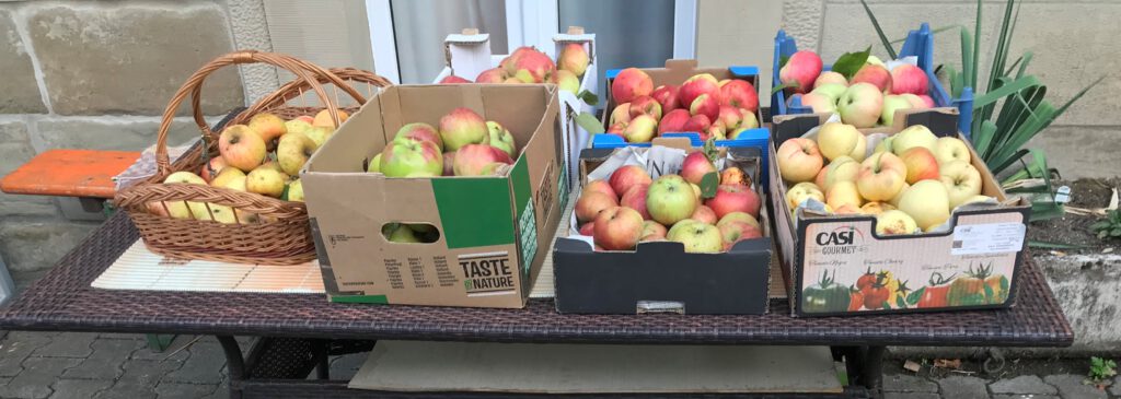 Unsere Produkte – Äpfel, Apfelsaft und Brennholz – SILVALUS